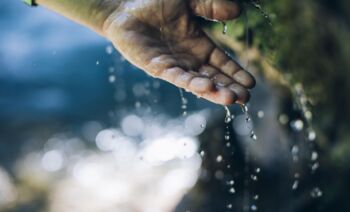 Element Wasser-Wanderung zum Libellensee - Im Einklang mit dem Element Wasser