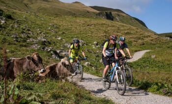 Lech Card - E-Bike Improve your skills
