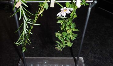 Herb atelier - Shop, Image 31