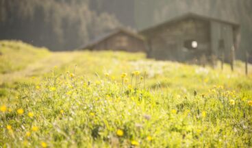 Pension Daniel, Image 19