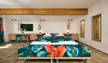 Hinterwies - Ski In / Lodge / Dine, Image 18