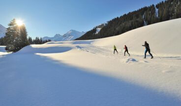 Pension Walkerbach, Image 8