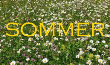 Pension Michaela, Bild 19