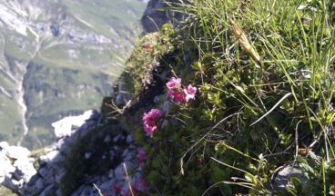 Pension Alwin, Bild 41