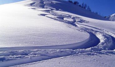 Pension Waldhof, Image 41