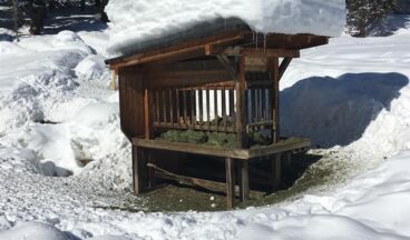 Pension Haus Nenning, Image 29