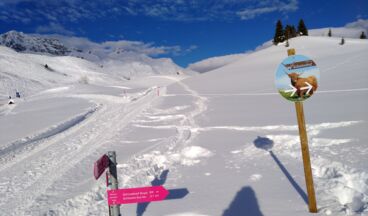 From Lech to the Skyspace-Lech, Image 2