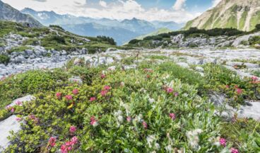 Bike & Hike: Lech - Formarinalpe und rund um den Formaletsch, Bild 3