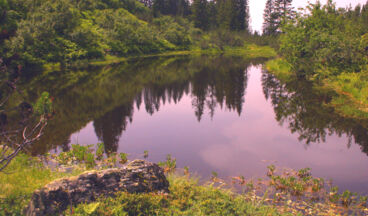 Stuben - Kaltenberghütte via Stubner See & retour über Passage, Bild 4