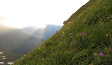 Summit ascent Omeshorn, Image 6