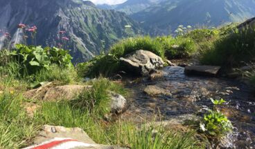 Stuben - Kaltenberghütte via Stubner See & retour über Passage, Bild 16