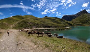 Seekopftour über das Wiesele, Image 6