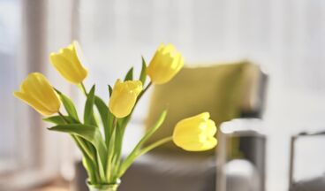 Appartements Dr. Muxel, Bild 45