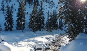 Pension Zug, Bild 16