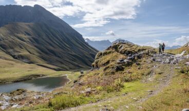 The Green Ring, Image 1