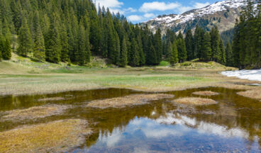 Stuben - Sonnenkopf - Kristbergsattel - Dalaas - Stuben, Bild 6