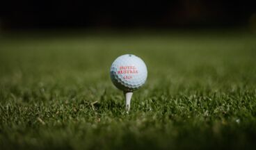 Hotel Austria, Image 32