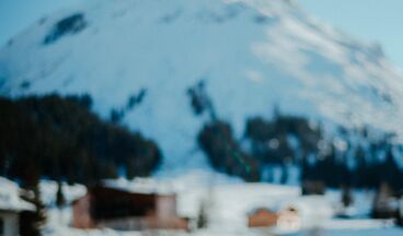 Hotel Austria, Image 11