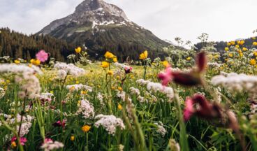 Hotel Aurora, Bild 10