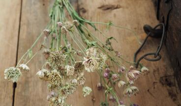 Herb atelier - Shop, Image 2