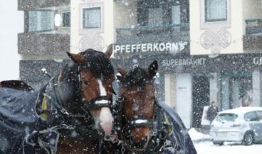 Hotel Pfefferkorn's, Image 60