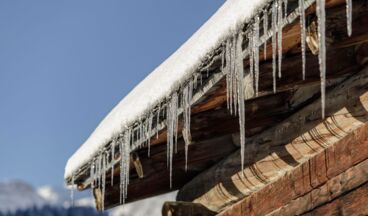 Hotel Austria, Image 16