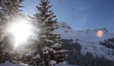 Pension Alwin, Bild 12