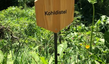 Arlenzauberweg - Naturschätze unter die Lupe genommen, Bild 14