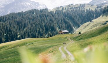 Über die Steffisalp und Bürstegg zur Bodenalpe, Bild 3