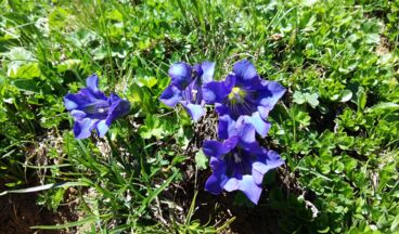 Pension Zug, Bild 12