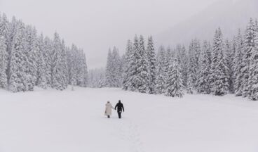 Haus Braunarl, Bild 37