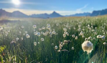 Lech Hostel, Image 7