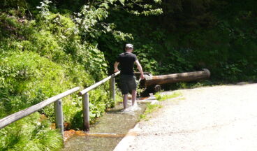 Stuben - Sonnenkopf - Kristbergsattel - Dalaas - Stuben, Bild 7