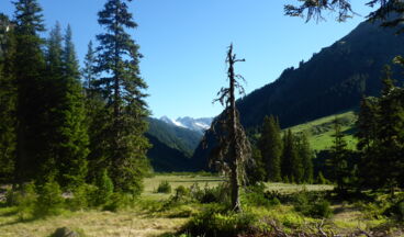 Stuben - St. Anton - Konstanzer Hütte - Silbertal - Sonnenkopf - Stuben, Image 7