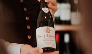 Hotel Austria, Image 63