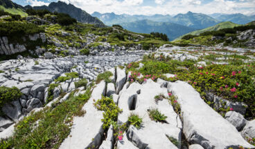 Steinernes Meer - Freiburger Hütte