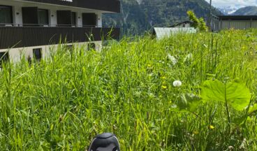 Muntanella, Bild 2