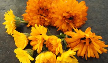 Kräuterwerkstatt Lech, Bild 9