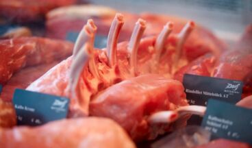 Hagen´s Village butcher shop, Image 7