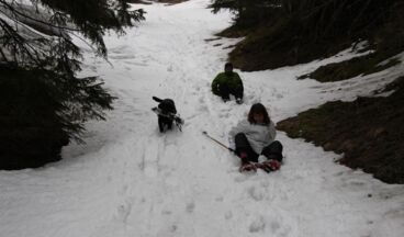 Pension Alwin, Bild 52