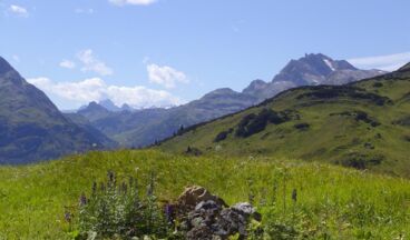 Pension Waldhof, Image 33