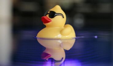 Hotel Stäfeli, Bild 60