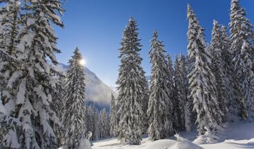 Hasenfluh - Pension, Image 17