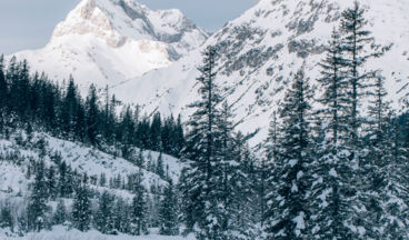 Zug - Älpele - Spullerwald - Zug, Bild 3