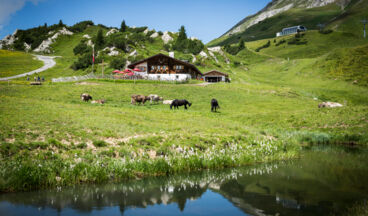 Durch das Zugertobel von der Kriegeralpe nach Zug, Bild 2