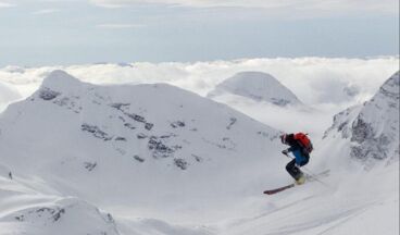 ALPIN - PRO