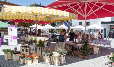 Tannbergmarkt