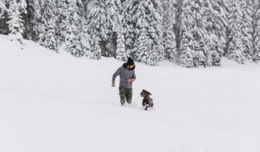 Haus Braunarl, Bild 38