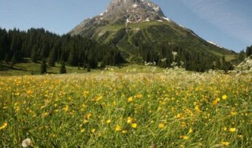 Hotel Garni Lärchenhof, Image 27