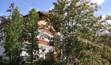 Pension Alwin, Bild 4